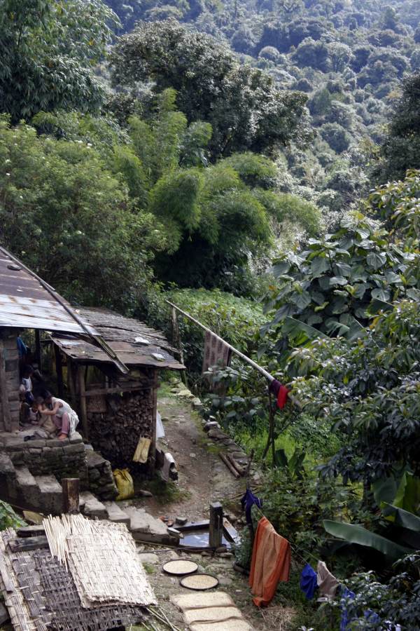 , Gangtok, Sikkim