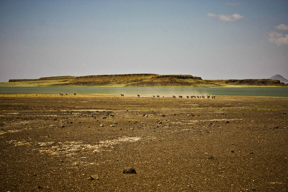 , Jezioro Turkana