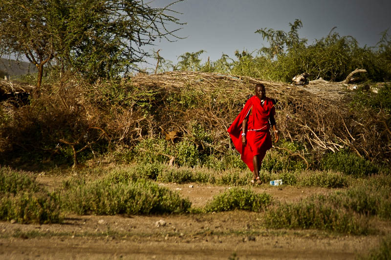 , Amboseli