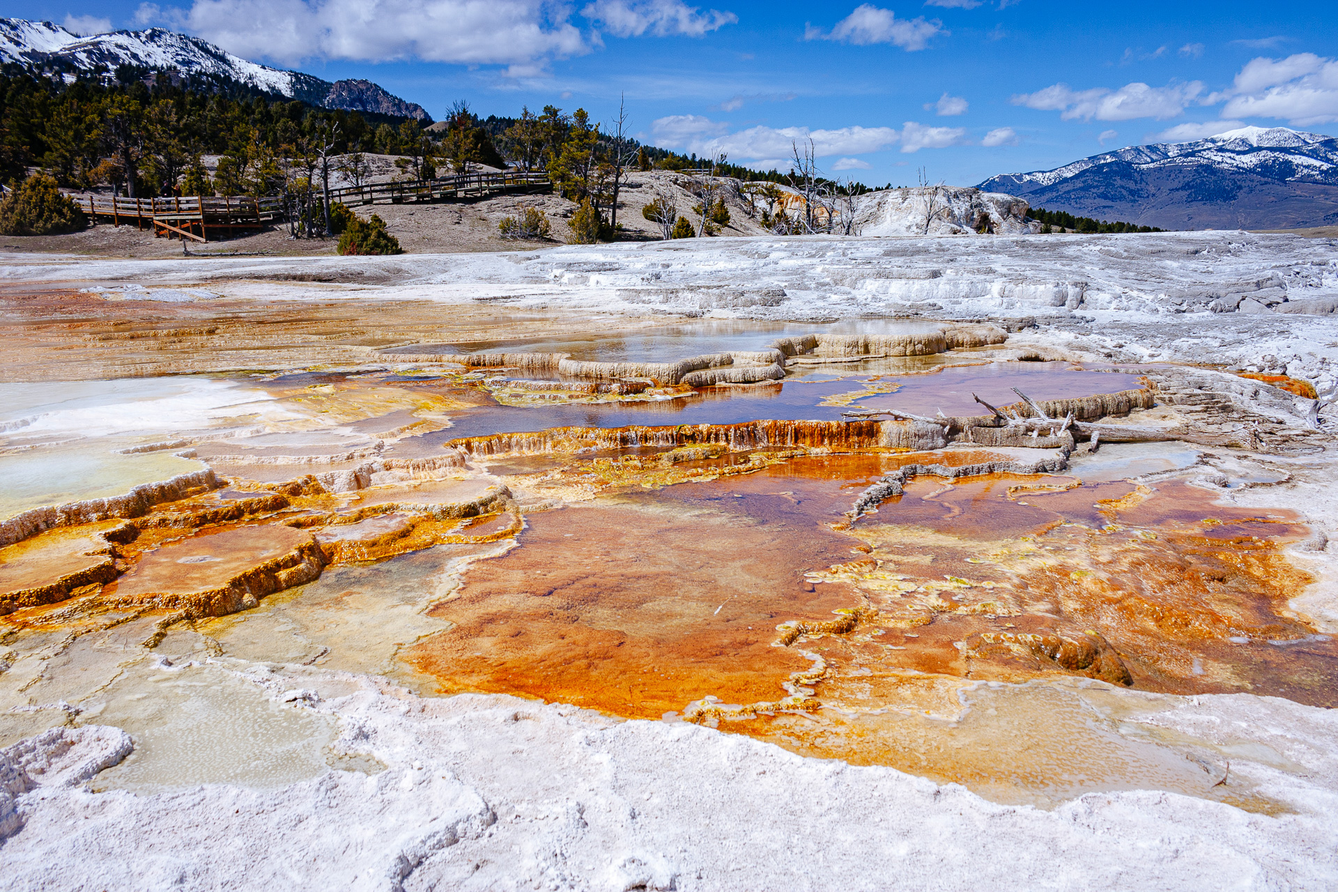 gorące źródła w parku Yellowstone